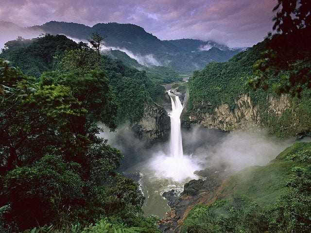 Yasuní National Park
