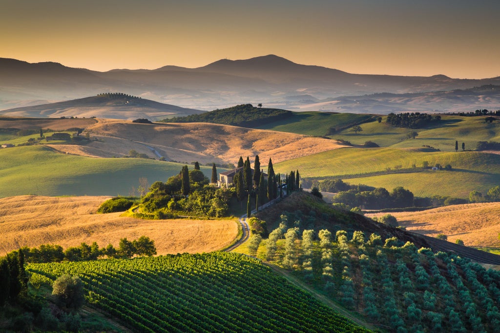 Rolling green hills dotted with cypress trees and rustic stone villas overlook a sun-drenched Tuscan vineyard estate at golden hour