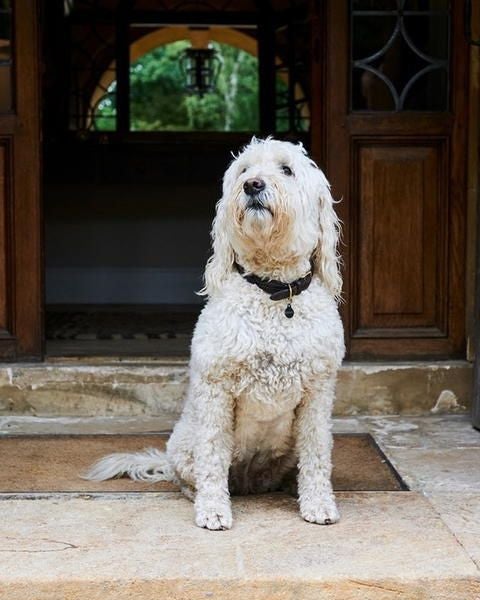 Luxurious stone manor house nestled in lush Cotswolds countryside, featuring elegant architecture with traditional windows and manicured gardens.