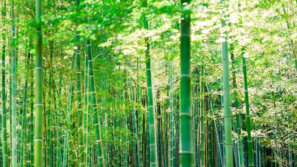 Luxurious traditional Japanese ryokan-style Suiran hotel nestled along Kyoto's scenic Arashiyama district with serene river and lush greenery backdrop