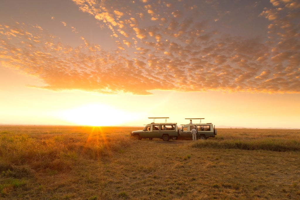 View from inside a luxury safari tent overlooking Serengeti plains at sunset with wildlife grazing and acacia trees silhouetted