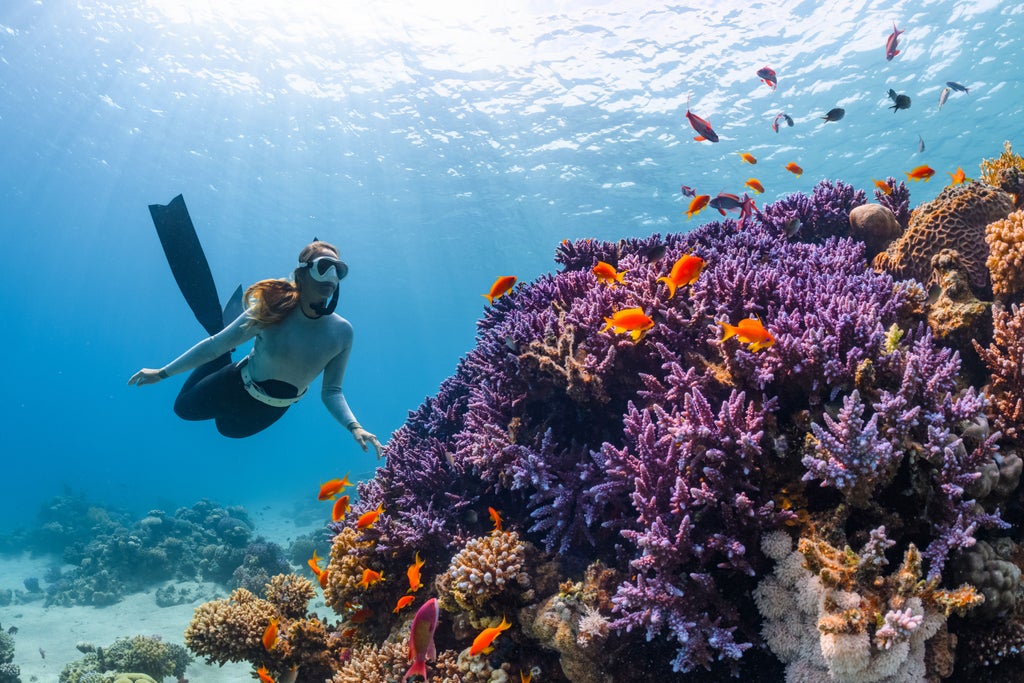 Turquoise waters, golden sunlight, professional scuba divers exploring vibrant coral reefs near Seminyak's pristine coastline with luxury snorkeling gear