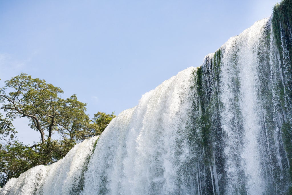 Thunderous Iguazu Falls cascades over layered cliffs surrounded by lush rainforest, creating dramatic mist under golden sunlight