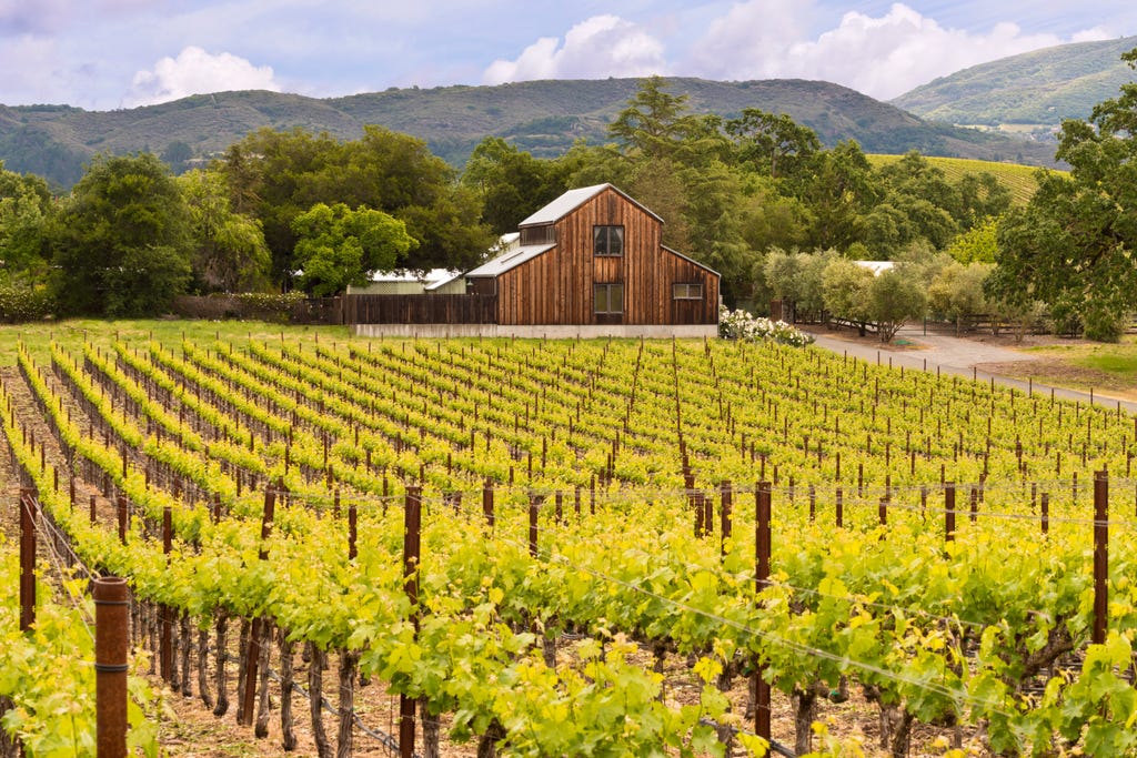 California’s Northern Wine Country: Napa & Sonoma