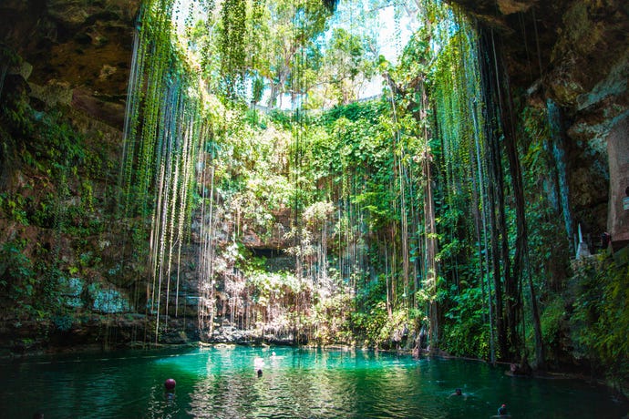 The cenotes are a world of their own