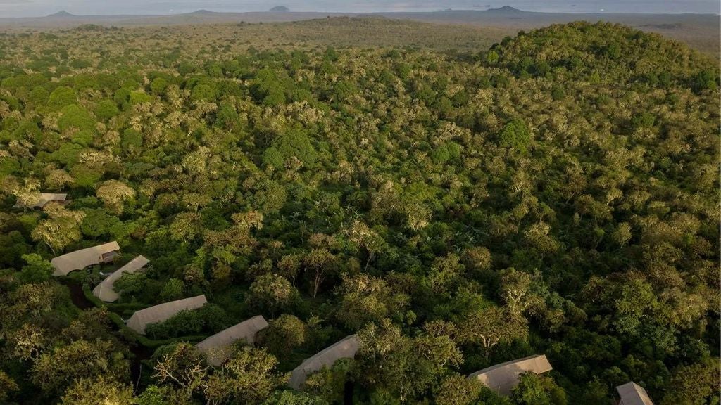 Luxurious eco-lodge nestled in lush Ecuadorian landscape, featuring elegant safari-style tents with panoramic views of pristine wilderness and distant mountains.