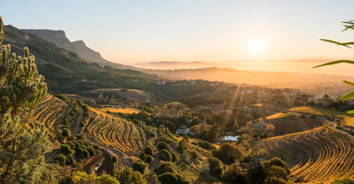 One last look at the serene Cape Town Winelands
