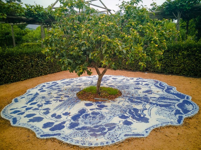 lemon tree in the Babylonstoren garden