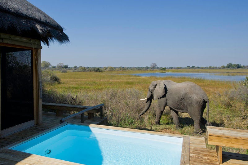 Elevated luxury safari lodge with thatched-roof villas overlooking vast Okavango Delta grasslands at golden hour sunset