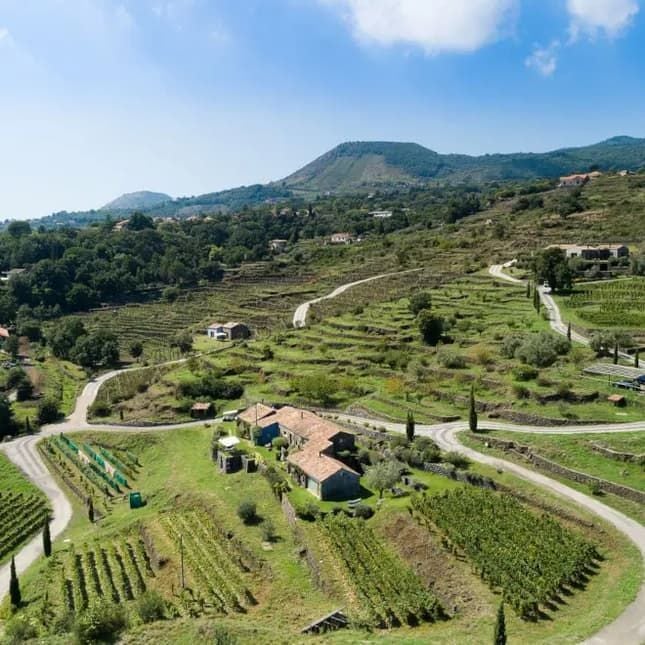 Elegant Sicilian villa nestled among volcanic vineyards, with rustic stone walls, lush gardens, and Mount Etna's majestic backdrop at twilight