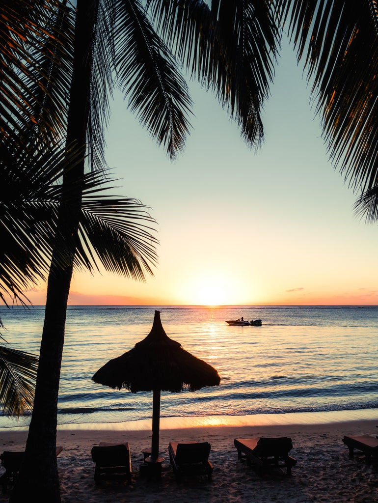 Pristine white sand beach lined with coconut palms alongside turquoise lagoon waters at sunset in Mauritius tropical paradise