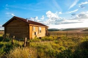 Rustic wooden cabin bedroom at Scenset Mountain Ranch with plush bedding, panoramic mountain views, and warm, inviting wilderness-inspired decor