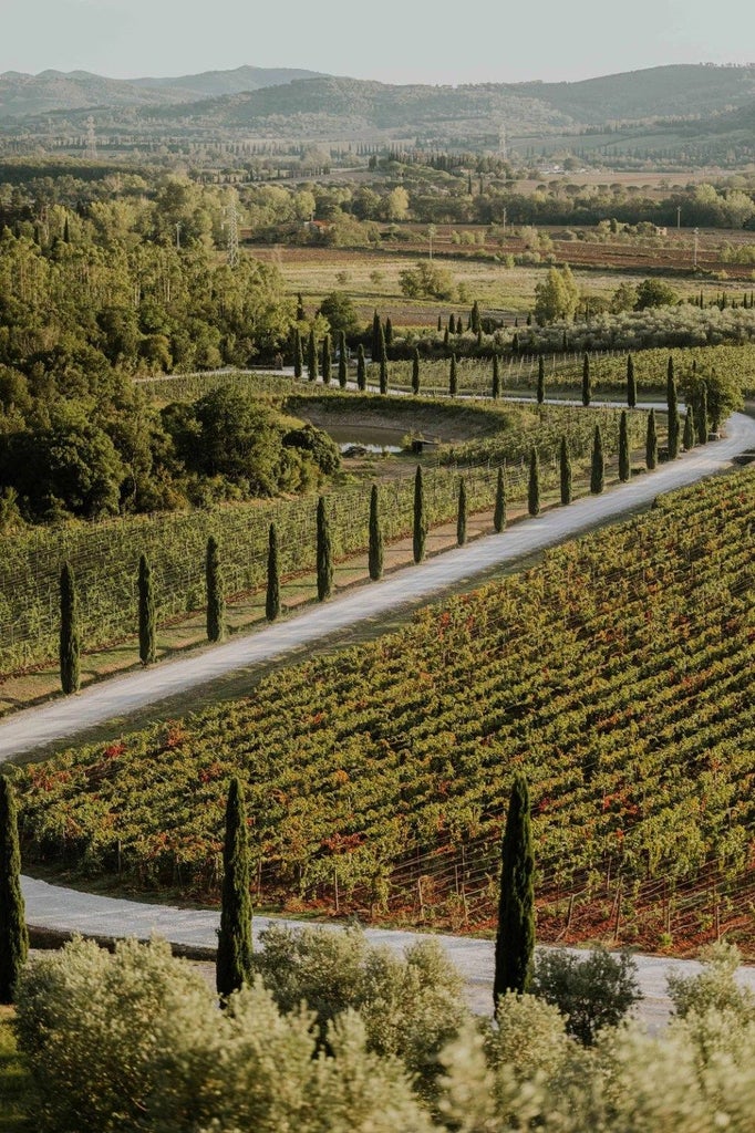 Luxurious Tuscany vineyard resort with golden stone buildings, rolling hills, and elegant wine estate surrounded by lush green vineyards at sunset