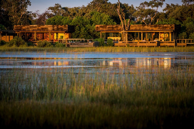 Elevated luxury lodge with wooden walkways overlooking African savanna, thatched-roof suites nestled among acacia trees at sunset