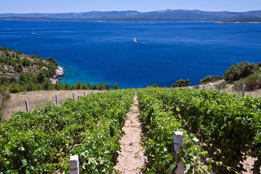 Small group samples premium Croatian wines in elegant stone cellar, surrounded by wooden barrels and rustic stone walls