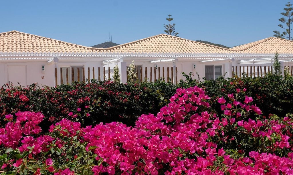 Elegant whitewashed Portuguese-style superior room with minimalist design, natural light, and earthy tones at Octant Vila Monte resort in Algarve, Portugal