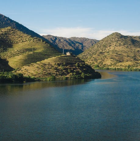 Cruise along the Douro River