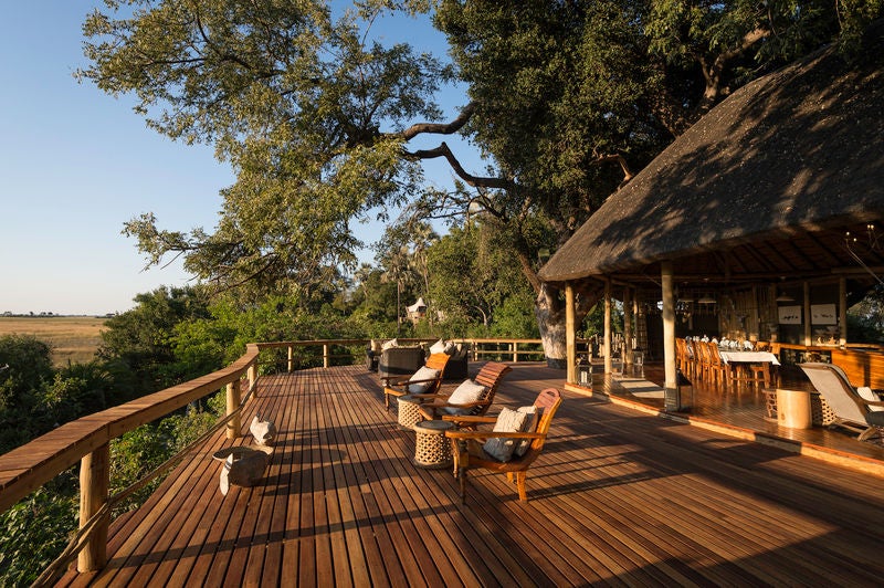 Elevated luxury safari camp with thatched-roof suites nestled among palm trees overlooking the Okavango Delta floodplains at sunset