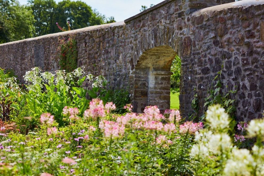 Luxurious countryside hotel nestled in lush Welsh landscape, featuring elegant stone exterior, manicured gardens, and classic architectural charm of Narberth region