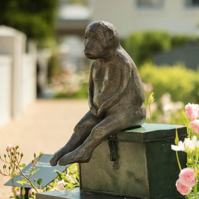 Elegant boutique hotel in Franschhoek wine region with whitewashed Cape Dutch facade, manicured gardens and mountain backdrop