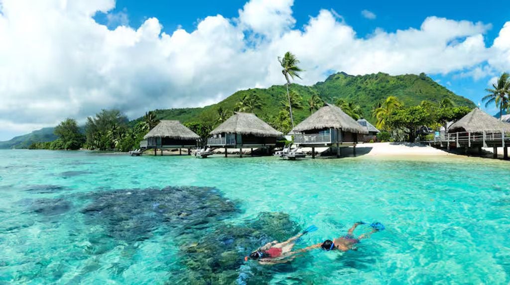 Overwater bungalows with thatched roofs stretch across turquoise lagoon, palm trees line pristine beach at luxury Moorea resort