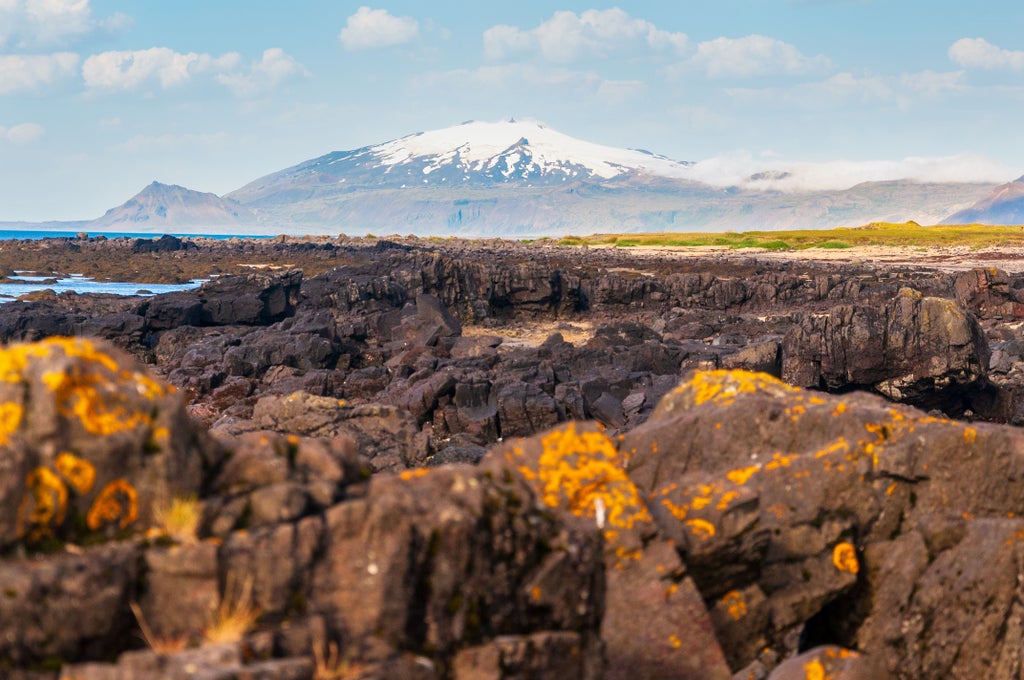 Dramatic Icelandic landscape with rugged black volcanic cliffs, emerald moss-covered terrain, and distant snow-capped mountains under moody Nordic sky