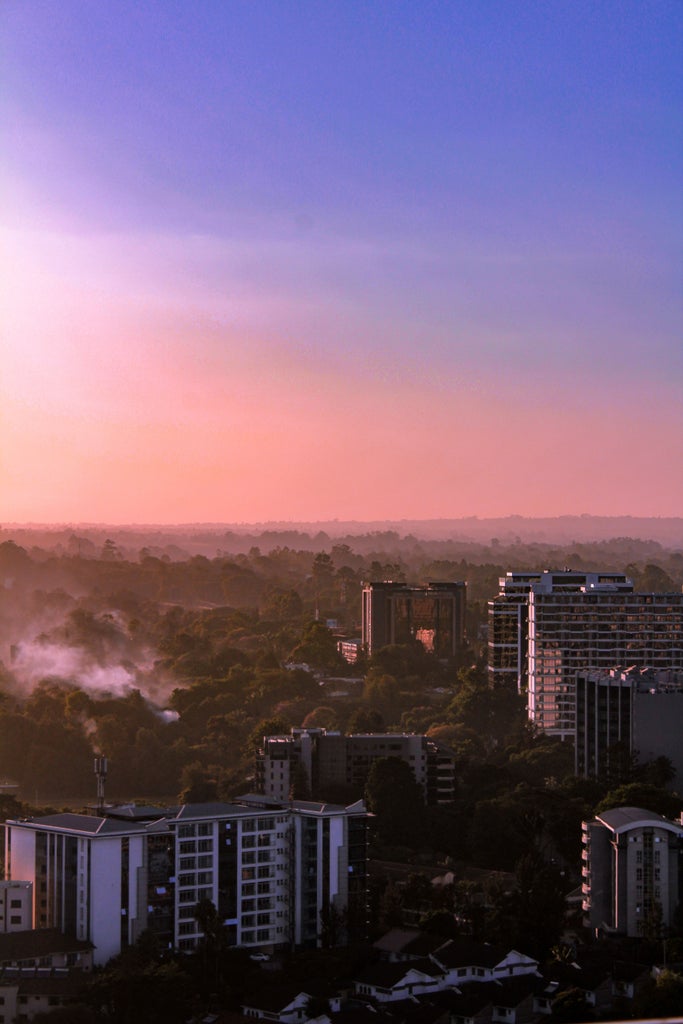 Wildlife grazing on vast savannah plains with Nairobi's modern skyline rising in background during golden afternoon light