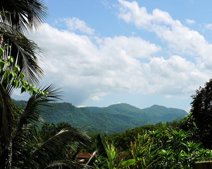 A view of the Blue Mountains