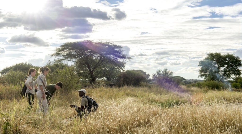 Luxurious safari tent overlooking vast Tanzanian savanna at sunset, with elegant outdoor seating and warm ambient lighting