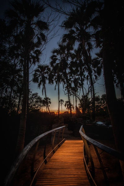 Elevated luxury safari lodge with thatched roof and wooden deck overlooking a serene waterhole in Botswana's Okavango Delta