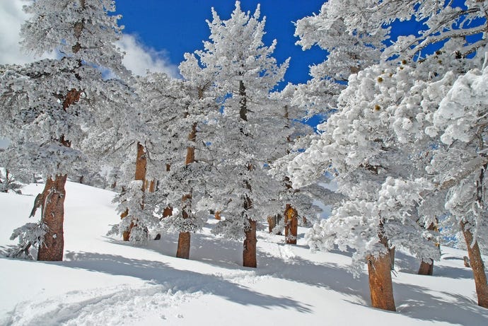 The Adirondacks are a winter wonderland