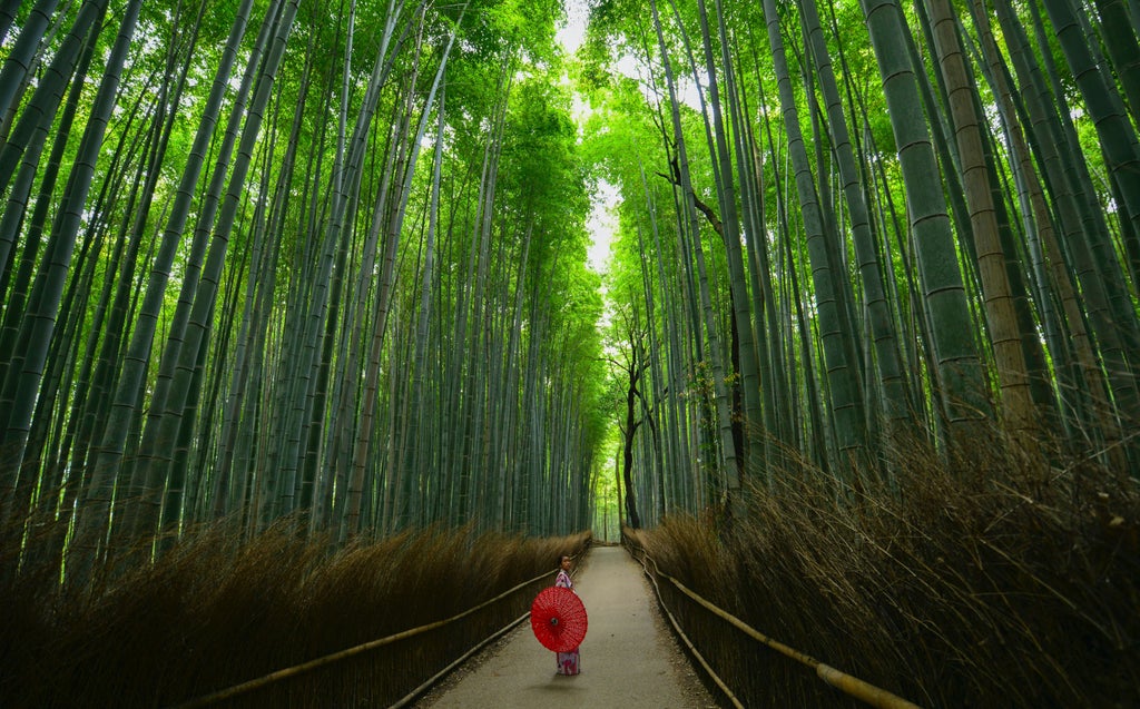 Elegant travelers exploring serene Kyoto gardens, traditional tea houses, and golden temples, showcasing a luxurious cultural journey through historic Japanese landscapes.