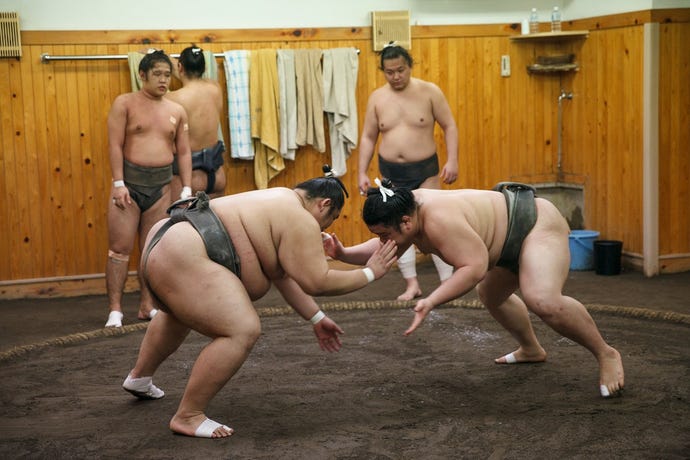 Sumo stable
