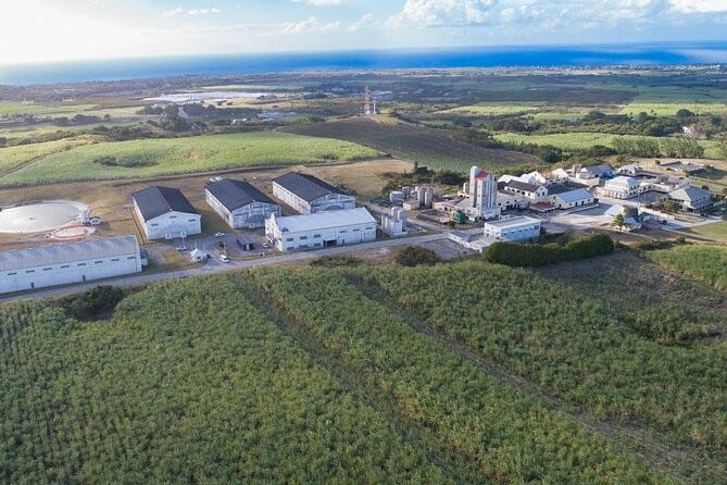 Mount Gay Distillery
