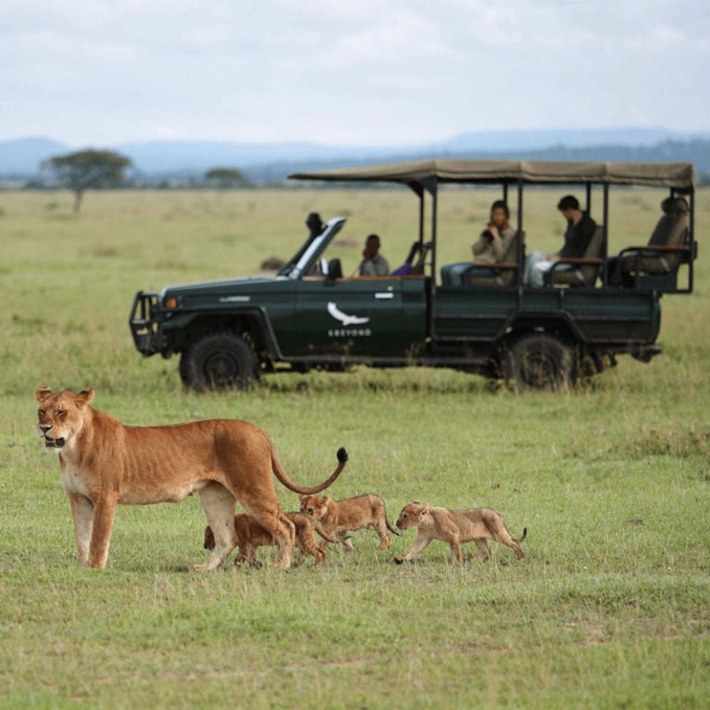 Luxurious safari lodge with modern thatched-roof villas nestled along the Serengeti riverbank, surrounded by acacia trees at sunset