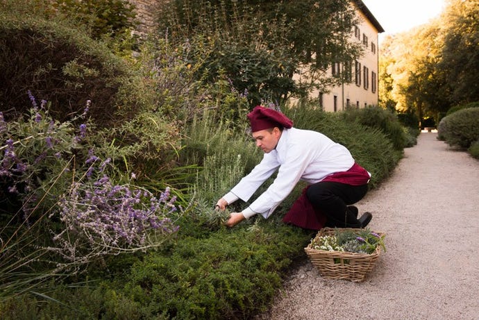 Herbs are harvested for meals, soaps, and perfumes