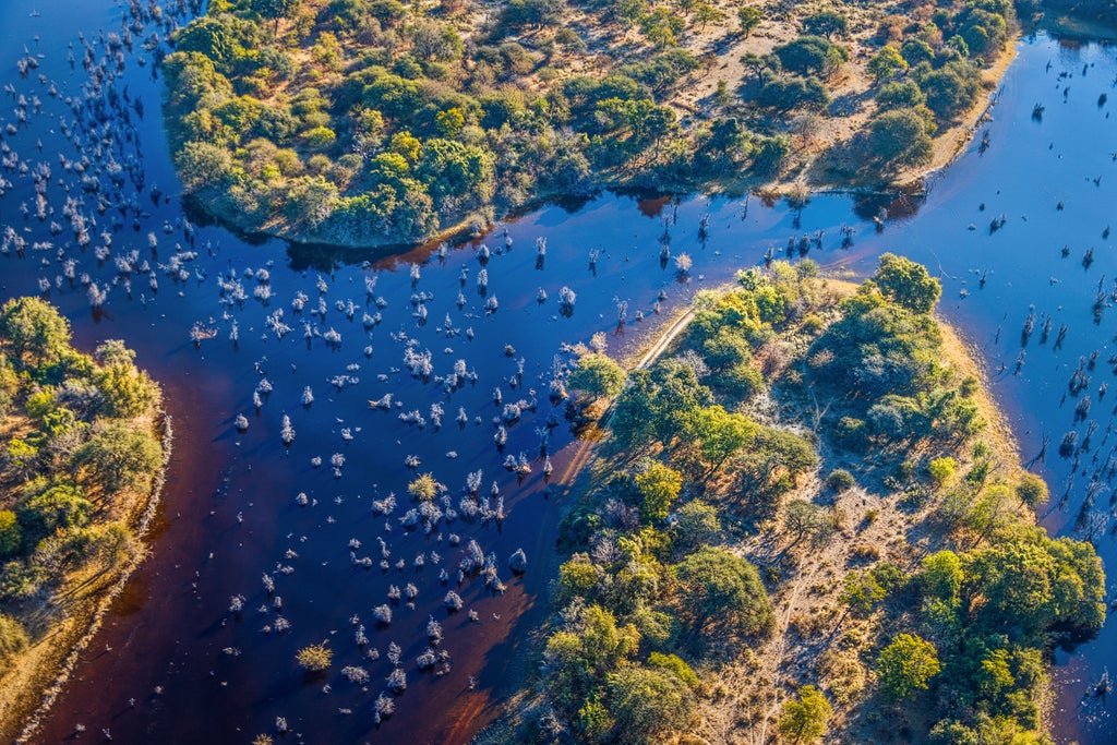 Private safari lodge overlooking tranquil waters of Okavango Delta at sunset, with luxury tents nestled among palm trees and acacia forest