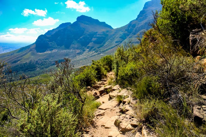 A small path along Platteklip Gorge
