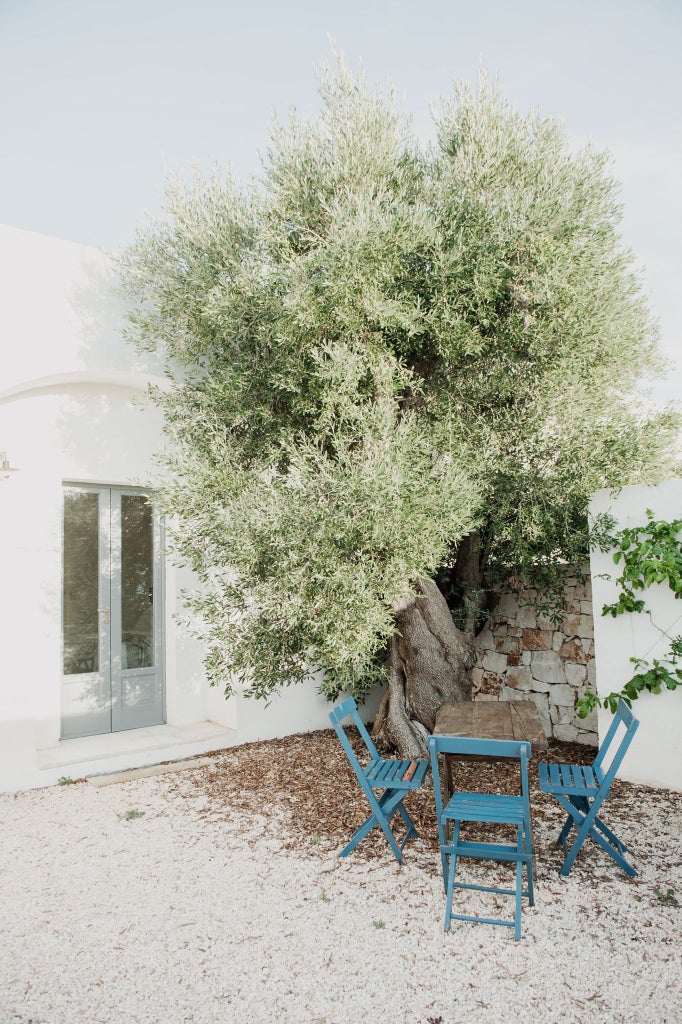 Minimalist white stone room with high ceilings, rustic wooden bed, and large arched window overlooking olive grove in scenic Italian countryside