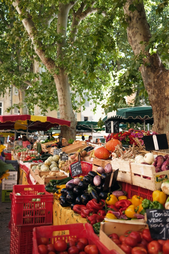 A cobblestone street lined with charming cafes and high-end boutiques under pastel-colored buildings in historic Aix-en-Provence