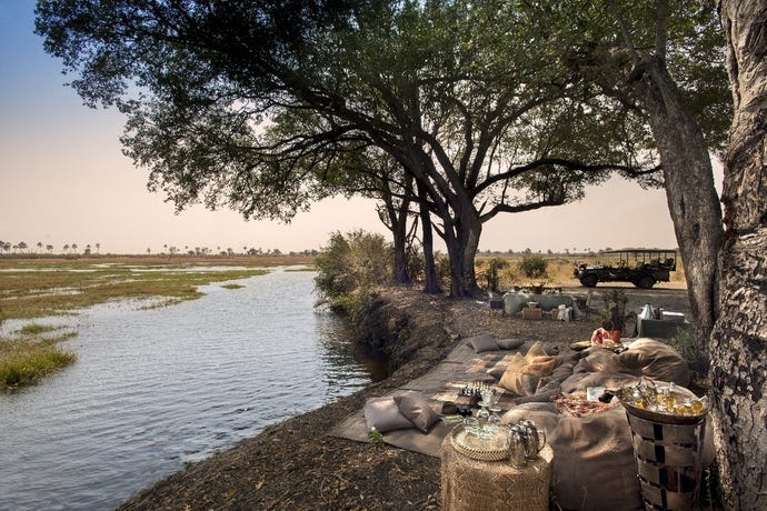 Enjoy a bush breakfast by the waterway