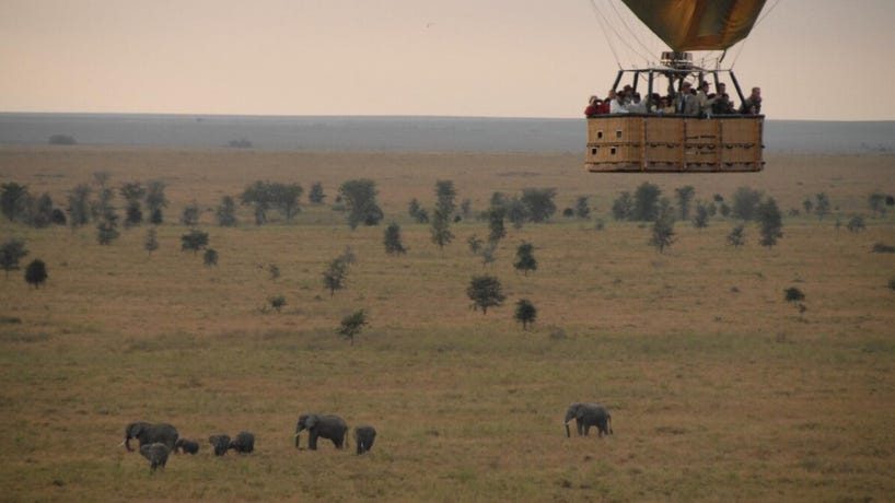 See the Serengeti from a different perspective in a hot air balloon