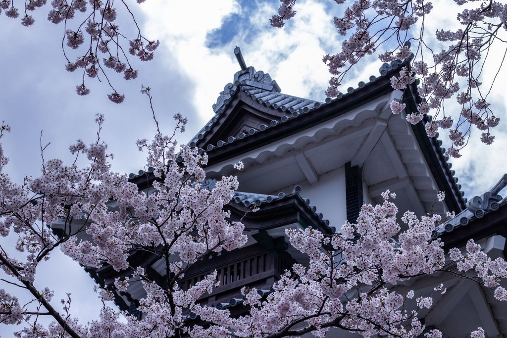 Traditional Japanese garden path lined with stone lanterns leading to a pagoda-style entrance gate at dusk in historic Kanazawa