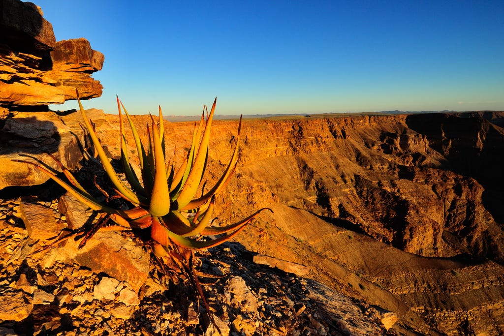 Mountain High, River Deep: Namibia's Fish River Canyon