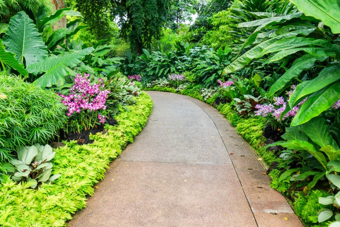 Singapore Botanical Garden
