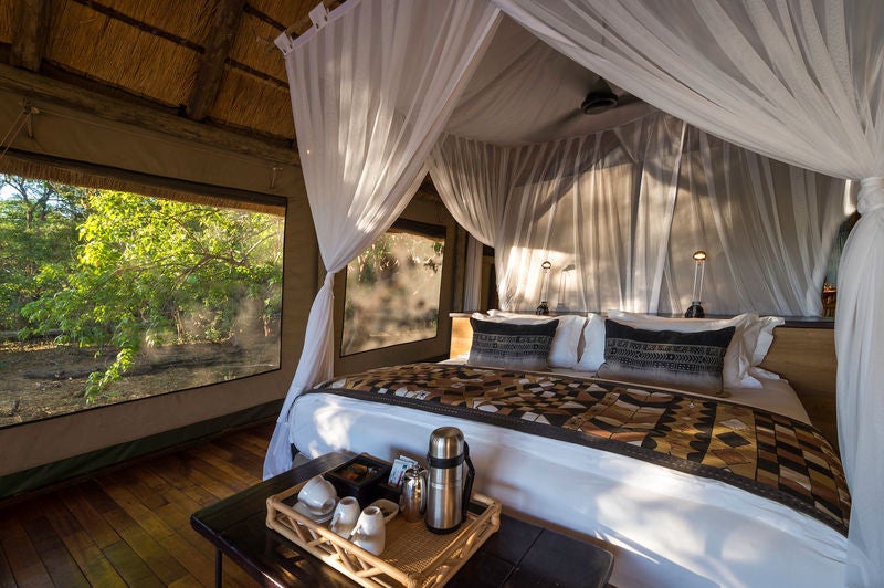 Elevated safari lodge overlooking waterhole with wooden deck, private plunge pool and canvas tent in lush African savanna