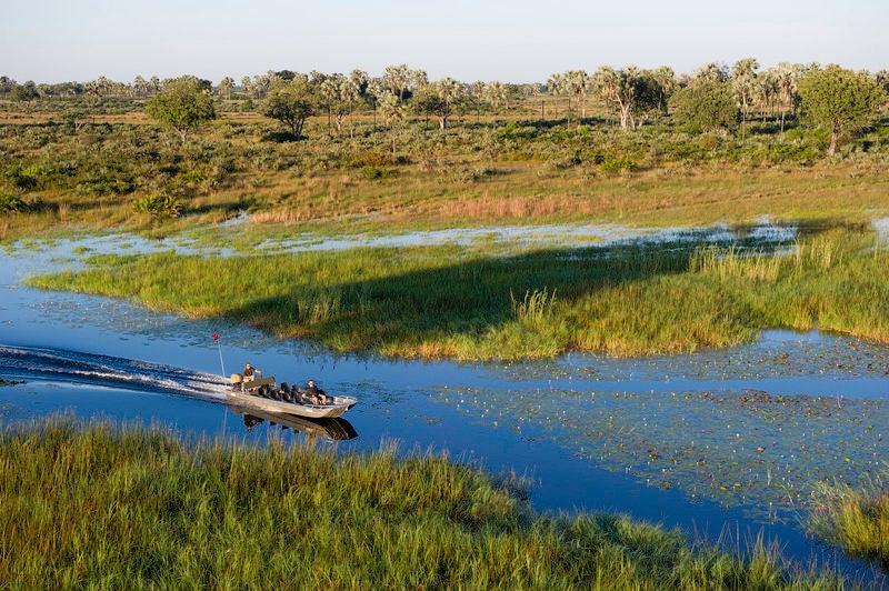 Elevated luxury treehouse lodge with thatched roofs and wooden walkways overlooking vast wetlands of the Okavango Delta at sunset