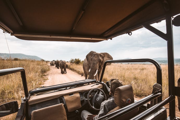 Get more up close and personal with wildlife when there are fewer tourists around