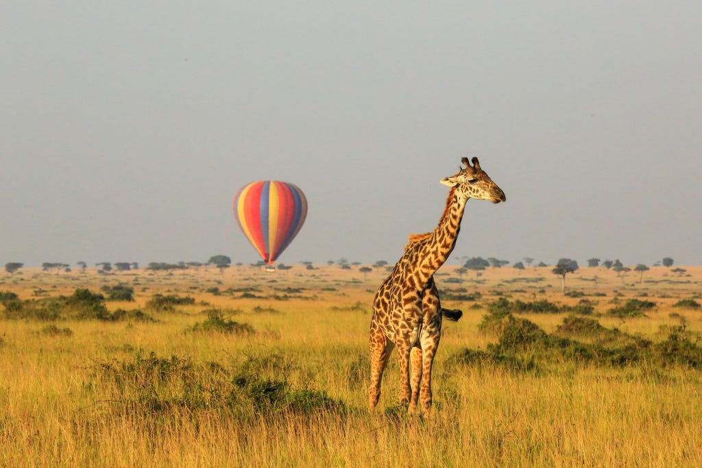 Take to the Skies, in Tanzania