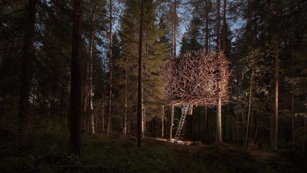 Suspended mirrored cube-shaped hotel room nestled among pine trees in Swedish forest, reflecting surrounding wilderness with modern architectural design